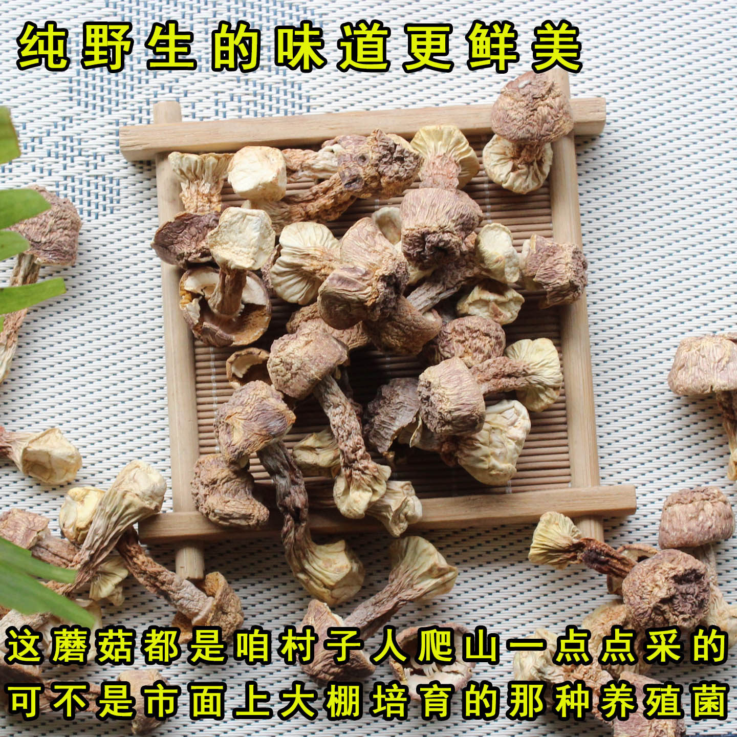 东北特产野生姬松茸干货特产巴西菇蘑菇无硫食用菌菇煲汤姬松茸菇,淘宝优惠券,粉丝福利购,淘宝优惠卷