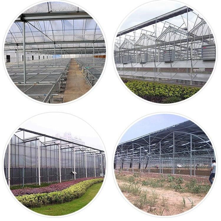 玻璃大棚厂家 农业生态展览蔬菜玻璃温室大棚 智能阳光板温室大棚,淘宝优惠券,粉丝福利购,淘宝优惠卷