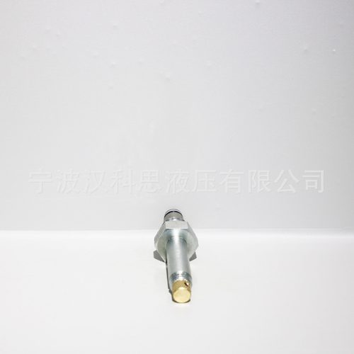 螺纹插装阀系列二位二通电磁阀（常闭型）带手动应急ZSV08-B20M - 图0