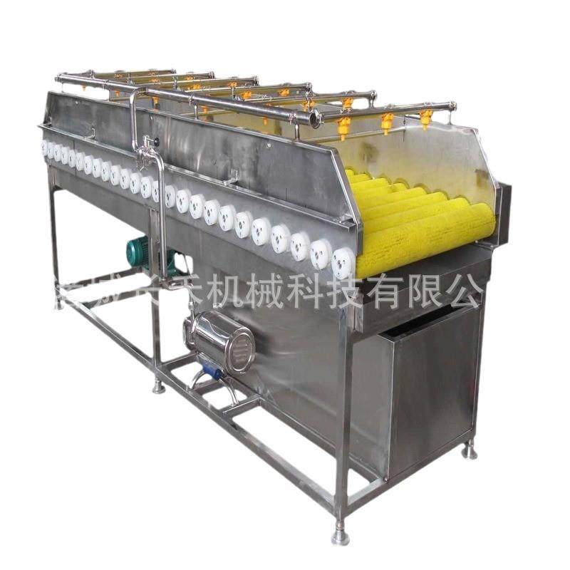 大型商用果蔬清洗设备气泡清洗机净菜加工水果蔬菜菌菇预制菜,淘宝优惠券,粉丝福利购,淘宝优惠卷