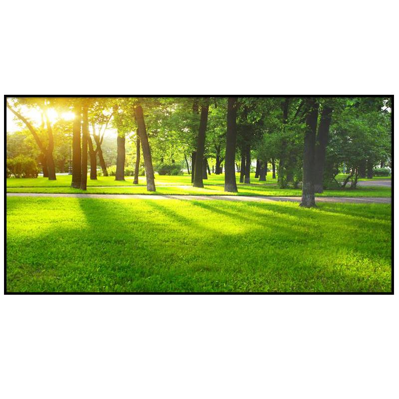 网红现代风景树林装饰画绿色森林客厅晶瓷画办公室墙壁画餐厅简约 - 图0