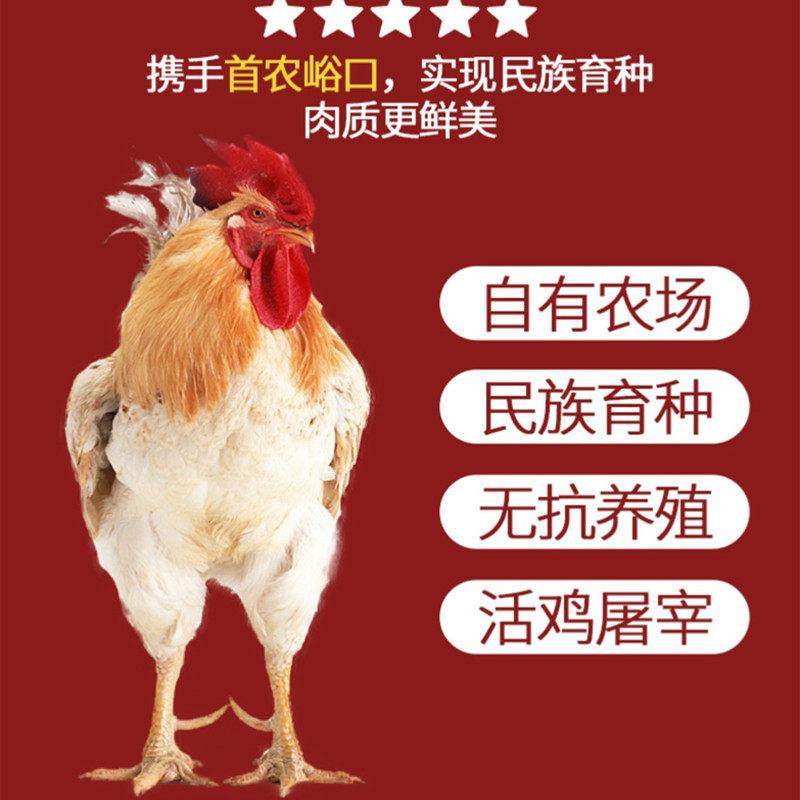 山东德州乡盛扒鸡正宗五香鸡肉食熟食肉食手即食烧鸡整只整箱地方,淘宝优惠券,粉丝福利购,淘宝优惠卷