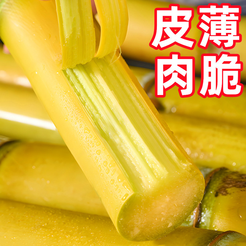 广西黄金甘蔗10斤新鲜应当季孕妇水果脆甜黑黄皮甘蔗特产整箱包邮,淘宝优惠券,粉丝福利购,淘宝优惠卷