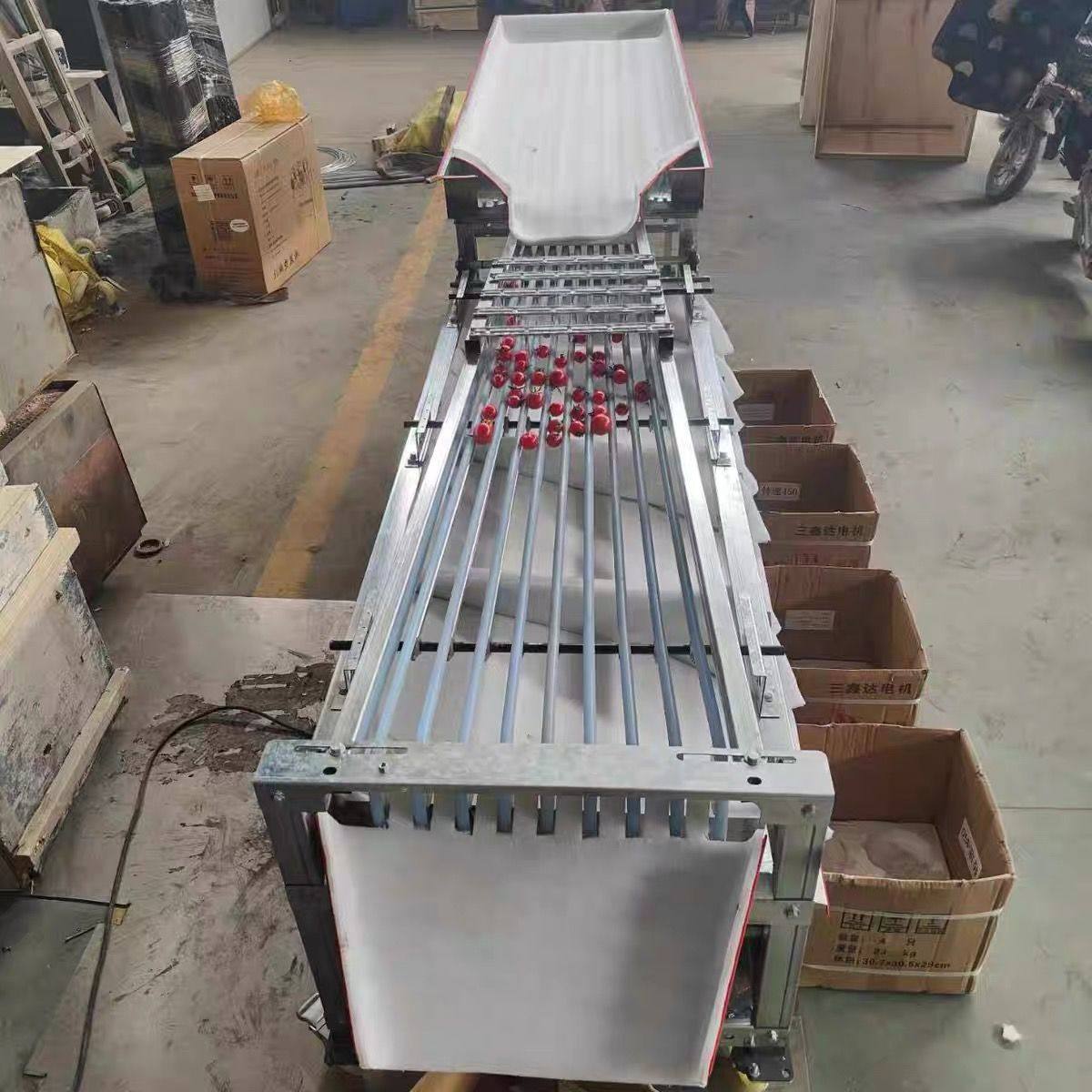 全自动选果机果水果选机李子圣女果金桔樱桃槟榔百香果水果分选机,淘宝优惠券,粉丝福利购,淘宝优惠卷