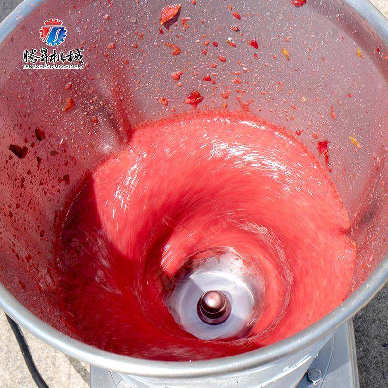 厂家直销大型西瓜榨汁机工厂用果蔬胡萝卜西红柿榨汁机8升容量,淘宝优惠券,粉丝福利购,淘宝优惠卷