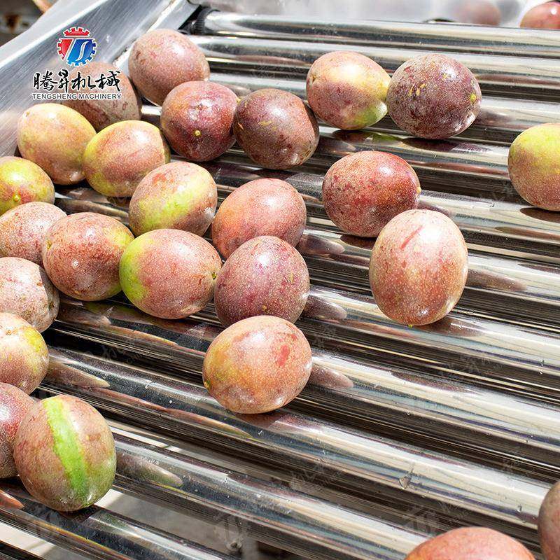厂家直销水果筛选机滚筒蔬果大小分级机苹果橘子圆形水果分选机,淘宝优惠券,粉丝福利购,淘宝优惠卷