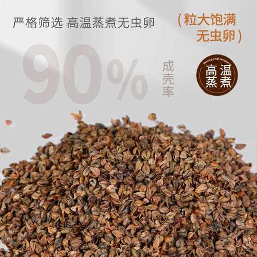 荞麦颈椎枕头连体枕护颈椎助睡眠三角枕成人硬荞麦壳枕可拆卸枕芯 - 图0