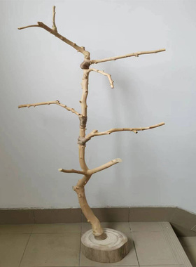 干树枝树杈鸟架造型实木落地灯架干枯枝艺术龙骨吊顶衣架饰