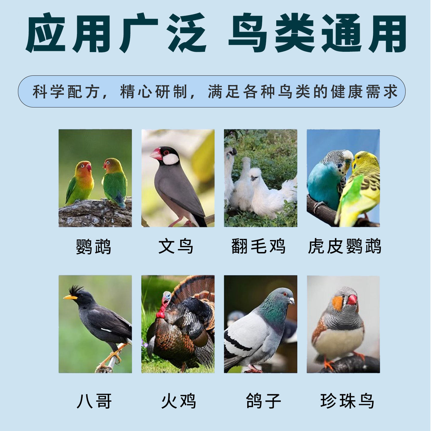 鸟用鹦鹉专用电解质水旋凤虎皮鹦鹉多维生素鸽用营养补充剂鱼肝油,淘宝优惠券,粉丝福利购,淘宝优惠卷