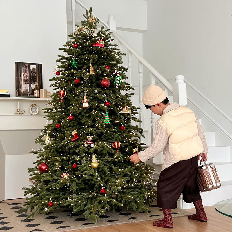 2025圣诞树家用大型仿真ins风圣诞节装饰品纯PE加密圣诞树diy套餐 - 图2