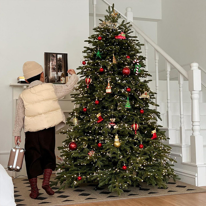 2025圣诞树家用大型仿真ins风圣诞节装饰品纯PE加密圣诞树diy套餐 - 图3