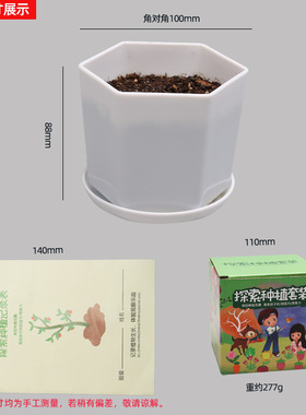 儿童diy探索种植玩具绿植生长观察小盆栽幼儿园花卉种子套装