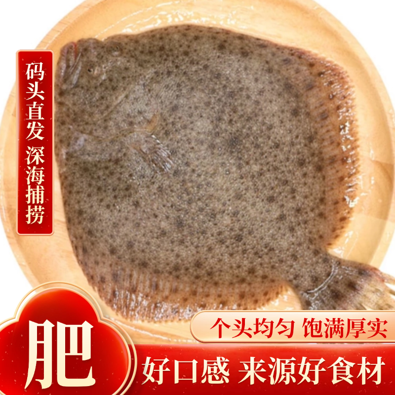 多宝鱼超大比目鱼鲜活冷冻八宝鱼偏口鱼鲽鱼鸦片鱼深海鱼水产海鲜,淘宝优惠券,粉丝福利购,淘宝优惠卷