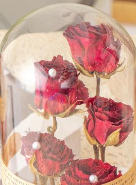 花束真玫瑰花干花植物标本女生日礼物永生花玻璃罩桌面摆件圣诞节