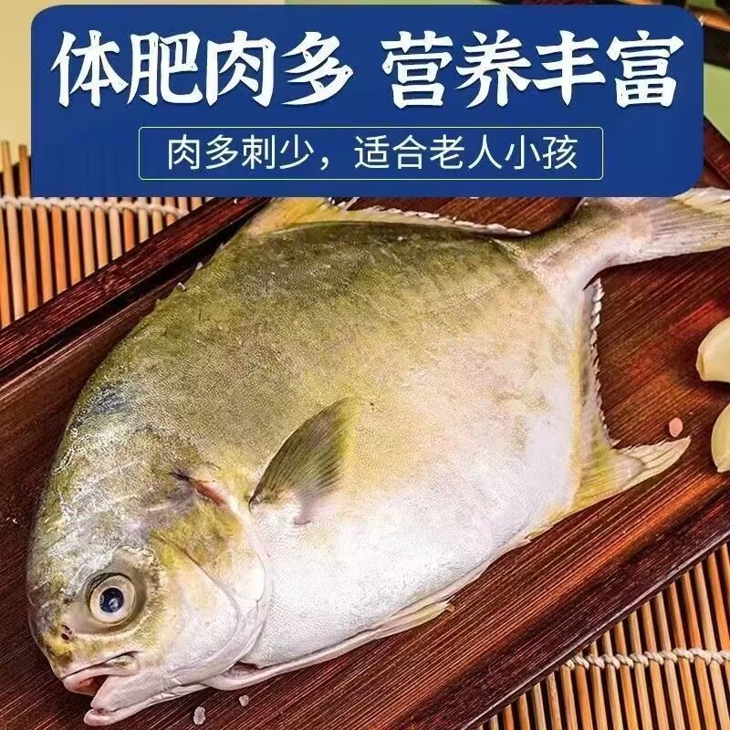 金鲳鱼超大特大新鲜冷冻湛江鲜活新货平鱼鲳鳊鱼大金昌鱼海鲜水产,淘宝优惠券,粉丝福利购,淘宝优惠卷