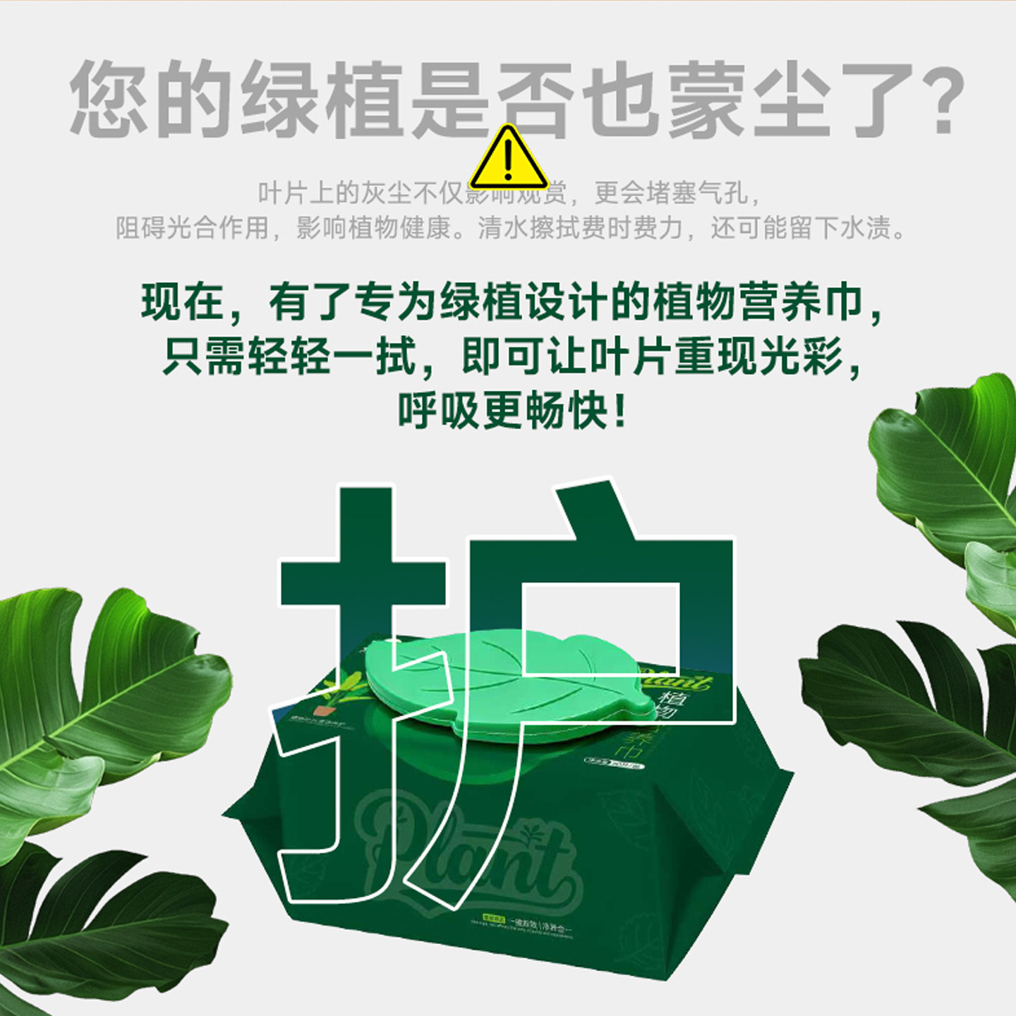 绿植物营养巾通用除污亮叶面除尘家居清洁