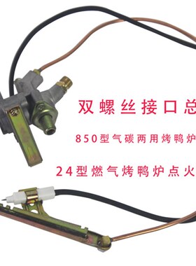 创宇24/850型烤鸭炉配件打火开关商用宇田气碳两用烤禽箱点火总成