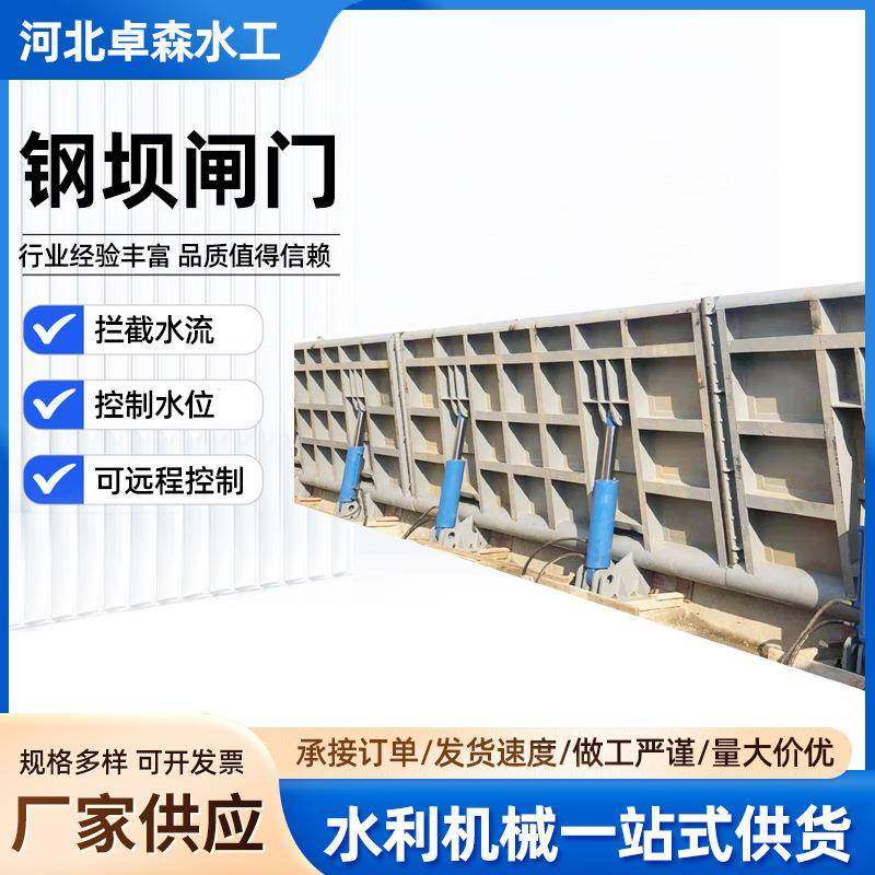 厂家直供不锈钢底轴驱动钢坝液压翻板景观钢坝河道治理钢坝闸门,淘宝优惠券,粉丝福利购,淘宝优惠卷