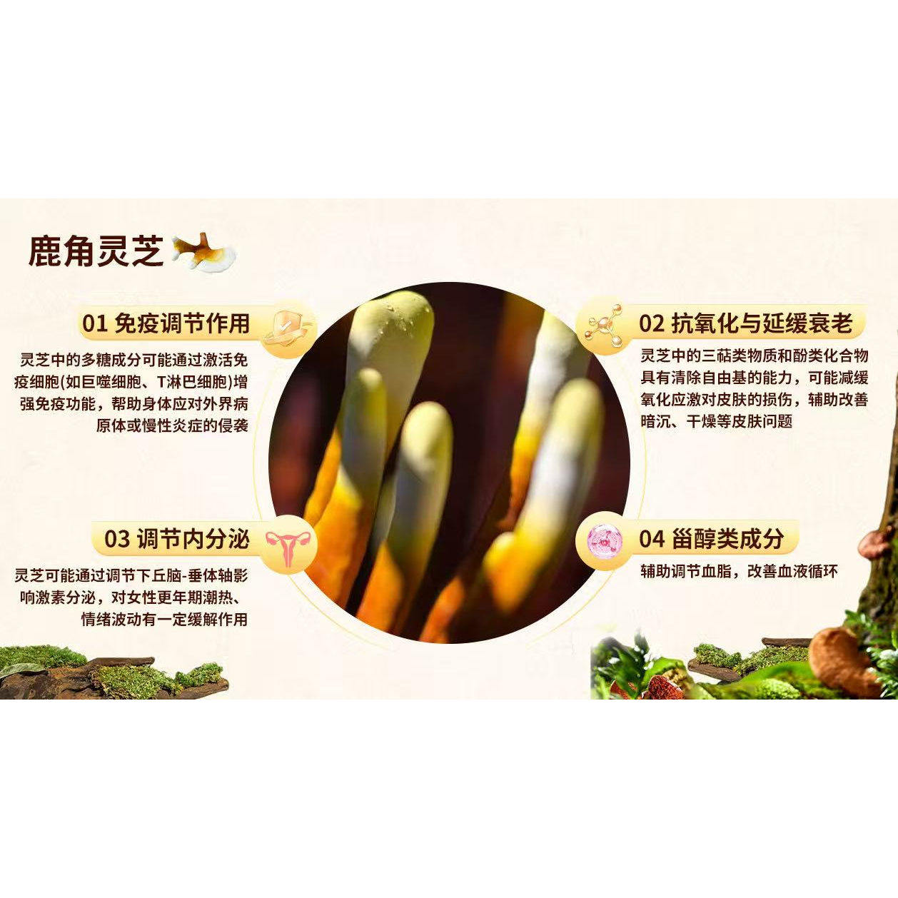 【萍姐美搭】（屿鸢娓）专注女性私户健康~,淘宝优惠券,粉丝福利购,淘宝优惠卷