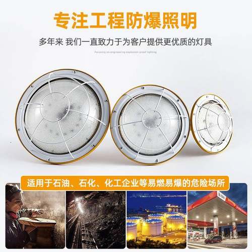 LED防爆灯加油站仓库厂房室外照明探照灯户外投光灯泛光射灯防水 - 图2