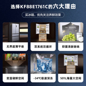 西门子KF88E1761C 超薄零嵌入法式多开门双循环电冰箱501L大容量