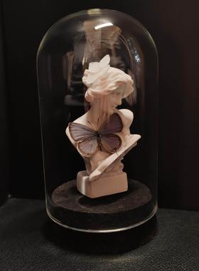 妩灰蝶标本小灰蝶雕塑小众手工收藏礼物真蝴蝶艺术玻璃罩摆件