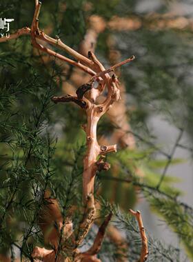 鲲屿 新中式陶瓷花器文竹花艺【绛河绿雾】高级感样板间酒店摆件