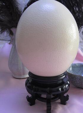 鸵鸟蛋壳底座驼鸟鸸鹋蛋雕工艺品摆放蛋托托水晶球石头葫芦托托盘