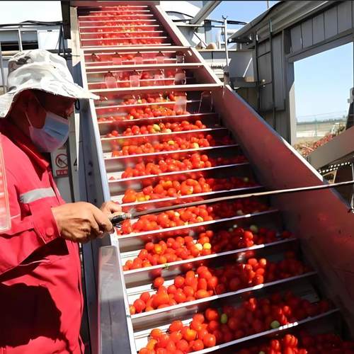 自动化果酱番茄酱加工浓缩设备全套蜂蜜/梨膏/辣椒酱料灌装生产线 - 图2