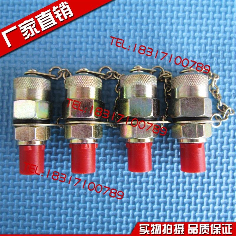 高压测压软管TEST HOSE DN=3 W.P 630BAR B.P 1600BAR 压力表线 - 图1