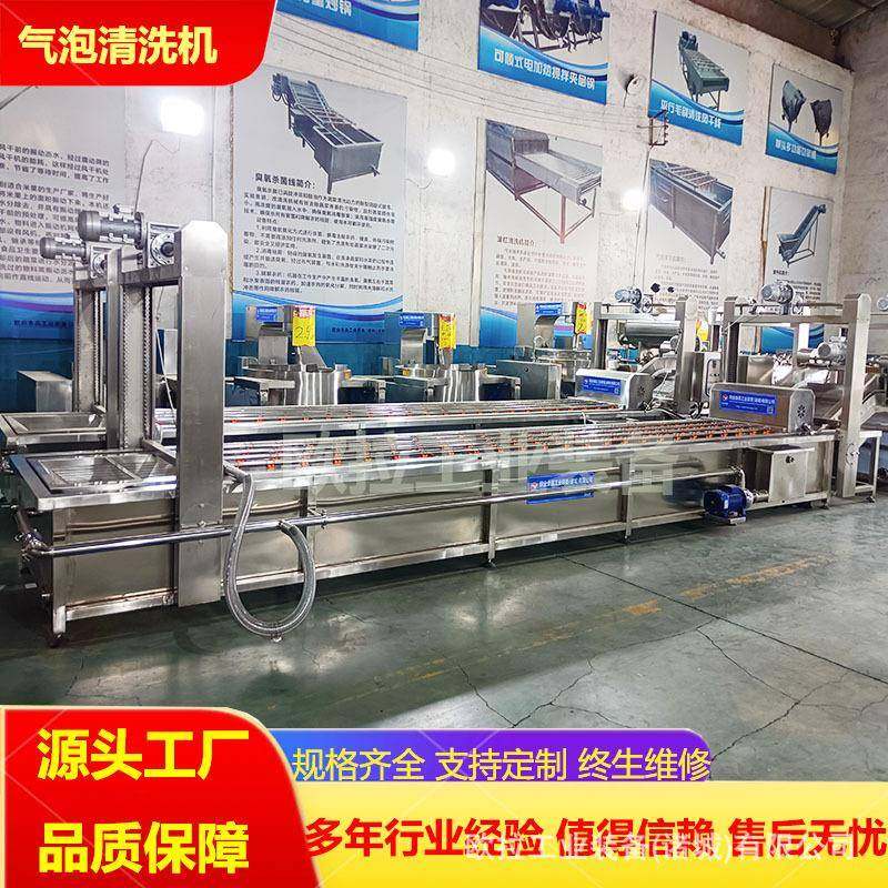 绿叶菜全自动清洗设备大型水果蔬菜清洗机土豆去泥清洗线,淘宝优惠券,粉丝福利购,淘宝优惠卷