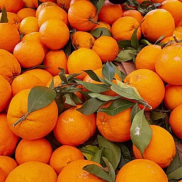 正宗纽荷尔脐橙75mm-80mm大果[10元优惠券]-寻折猪