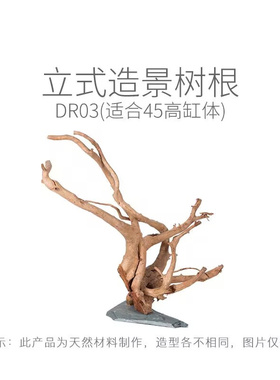 海鲜姿造创意装饰品天然弯树枝树根刺身三文鱼干树枝迎客松枯树枝