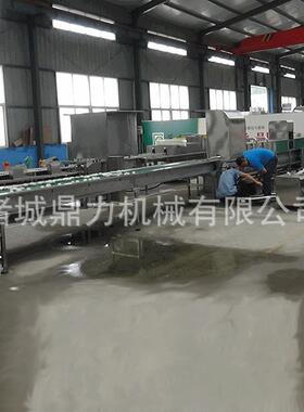 双排洗蛋机全自动洗蛋机诸城鼎力机械鸭蛋清洗设备洗蛋设备