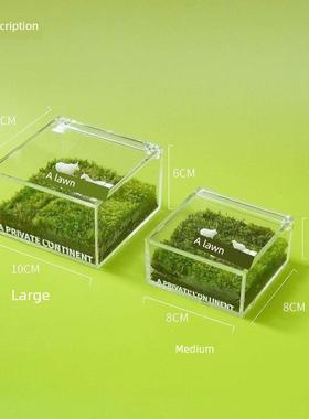 我的牛马小草坪摆件适合打工人养的迷你解压微景观办公室工位装饰