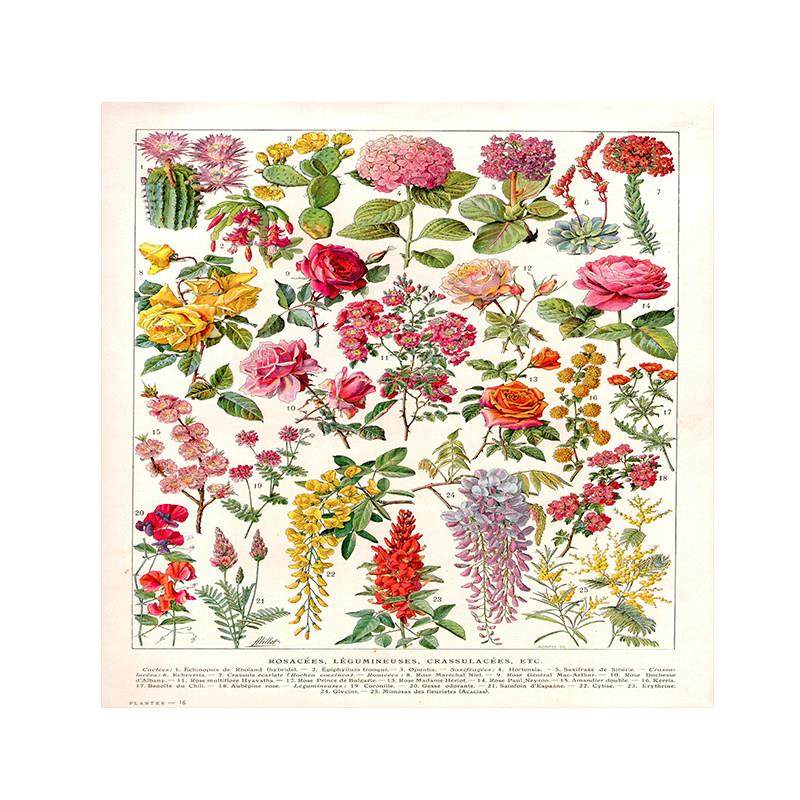 欧洲复古 蘑菇挂布植物民宿挂毯宿舍书桌床头装饰背景布ins风竖版,淘宝优惠券,粉丝福利购,淘宝优惠卷