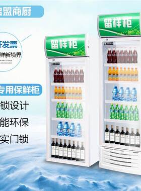 立式冷藏保鲜柜单门啤酒柜食品留样柜玻璃门展示柜蔬菜样品留样柜
