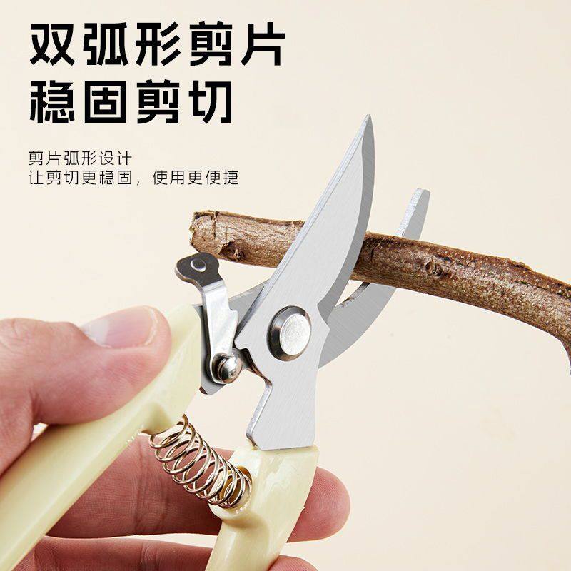 修枝剪果枝修剪刀盘栽剪园艺剪刀花艺果树园林摘果粗枝剪锋利省力,淘宝优惠券,粉丝福利购,淘宝优惠卷