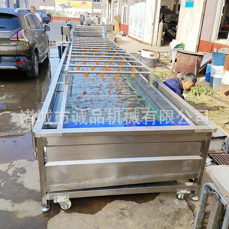 全自动果蔬气泡清洗机豆芽芹菜冬笋洗菜机海鲜毛豆香椿海参流水线,淘宝优惠券,粉丝福利购,淘宝优惠卷