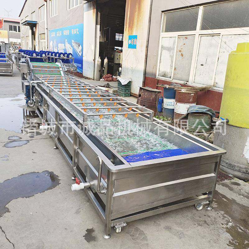 全自动果蔬气泡清洗机豆芽芹菜冬笋洗菜机海鲜毛豆香椿海参流水线,淘宝优惠券,粉丝福利购,淘宝优惠卷
