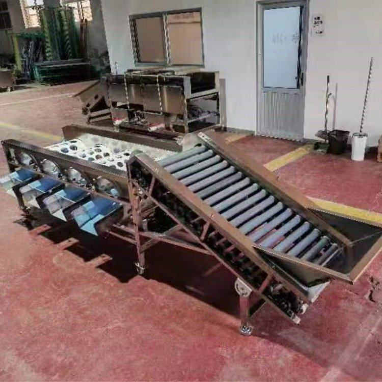 柿子选果机大蒜分级机西红柿 青柑筛选机 滚桶式果蔬分选机,淘宝优惠券,粉丝福利购,淘宝优惠卷