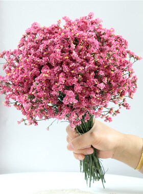 云南干花水晶草鲜花v风干花束大束论斤卖满天星