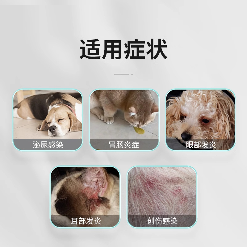 头孢羟氨苄片宠物狗狗猫咪犬用脓皮症伤口消炎感冒药尿路感染尿血 - 图1