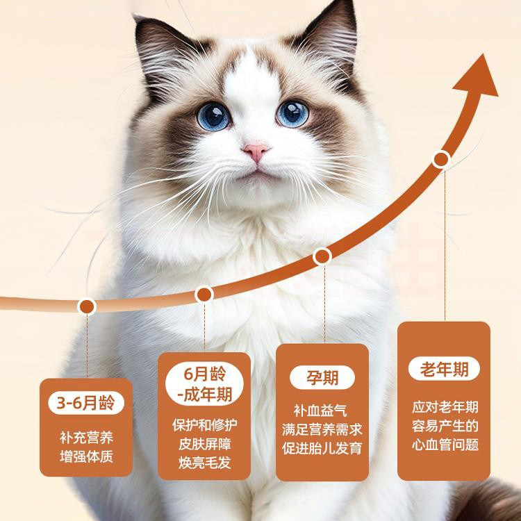 冻干猫零食兔血冻干补充营养红血铁增蛋白成幼猫犬宠物磨牙零食,淘宝优惠券,粉丝福利购,淘宝优惠卷