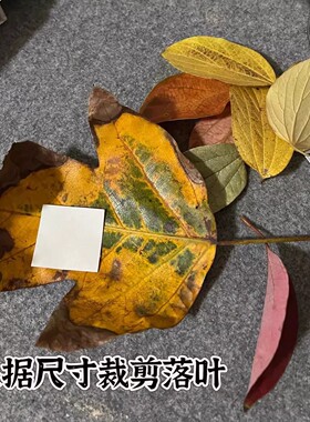 秋季落叶9宫格相框挂墙摆台