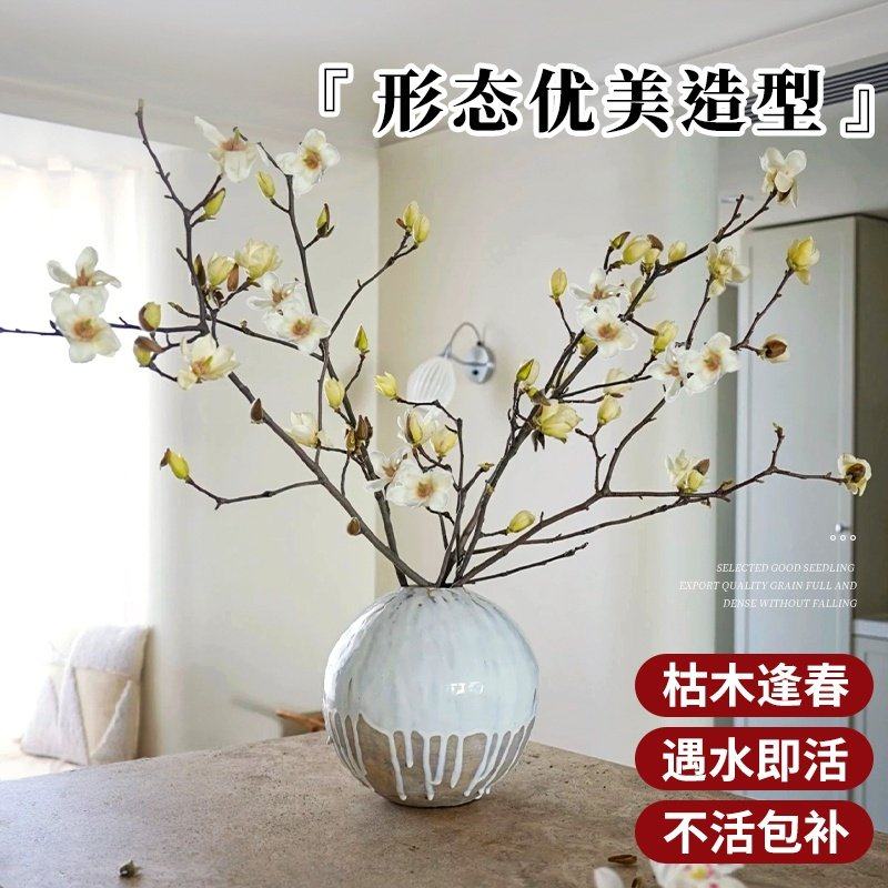 水培紫玉兰花鲜切枝带花苞干枝红梅鲜花卉室内好养四季开花植物,淘宝优惠券,粉丝福利购,淘宝优惠卷