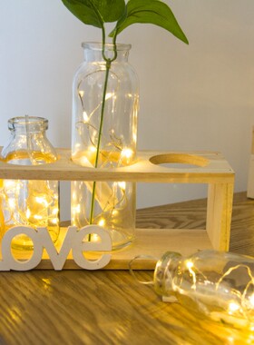 优选创意绿萝水培植物玻璃瓶小清新花瓶摆件客厅办公室插花桌面小