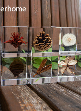 优选样板间轻奢摆件装饰品透明植物水晶10cm12cm方块客厅书柜电视