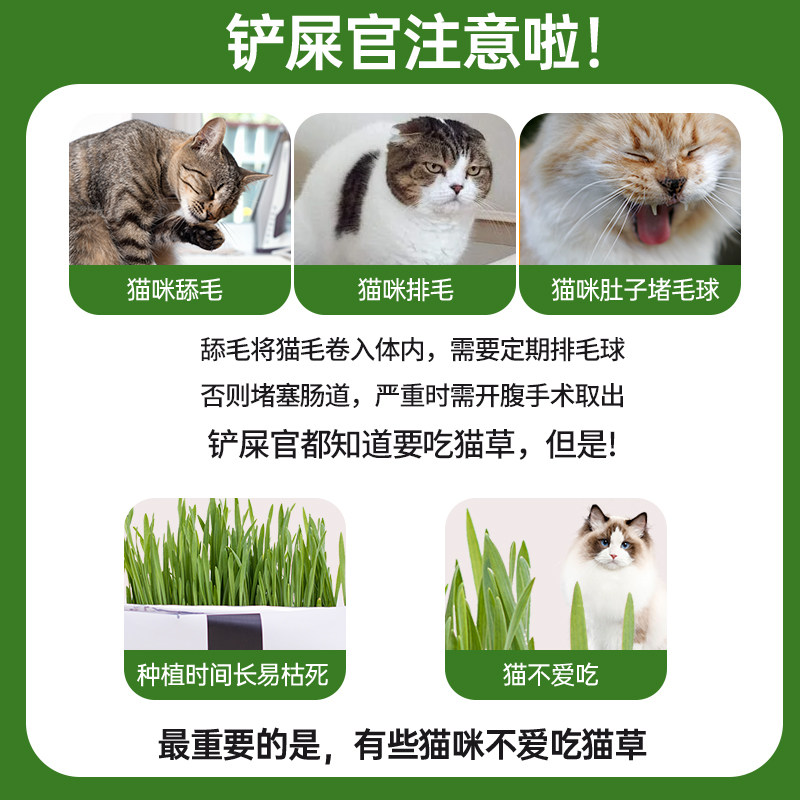 猫草饼干去毛球片猫咪零食小鱼干薄荷猫草粒幼猫磨牙猫草棒旗舰店,淘宝优惠券,粉丝福利购,淘宝优惠卷