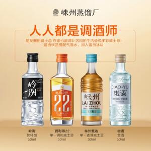 四合一套装崃州小酒50ml4瓶威士忌 伏特加 金酒 百利得调酒